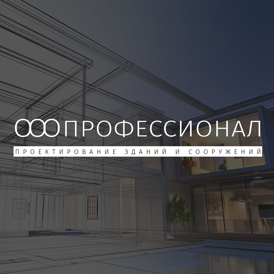 Профессионал